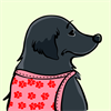 Flat-coated Retriever