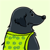 Flat-coated Retriever