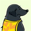 Flat-coated Retriever