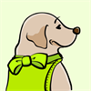 Yellow Labrador Retriever