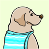 Yellow Labrador Retriever