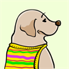 Yellow Labrador Retriever