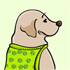 Yellow Labrador Retriever