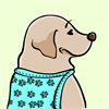 Yellow Labrador Retriever