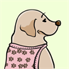 Yellow Labrador Retriever