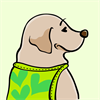 Yellow Labrador Retriever