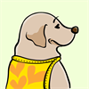 Yellow Labrador Retriever