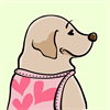 Yellow Labrador Retriever